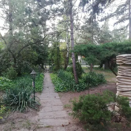 Vecsey Holiday home