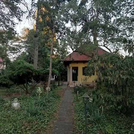 Vecsey Holiday home